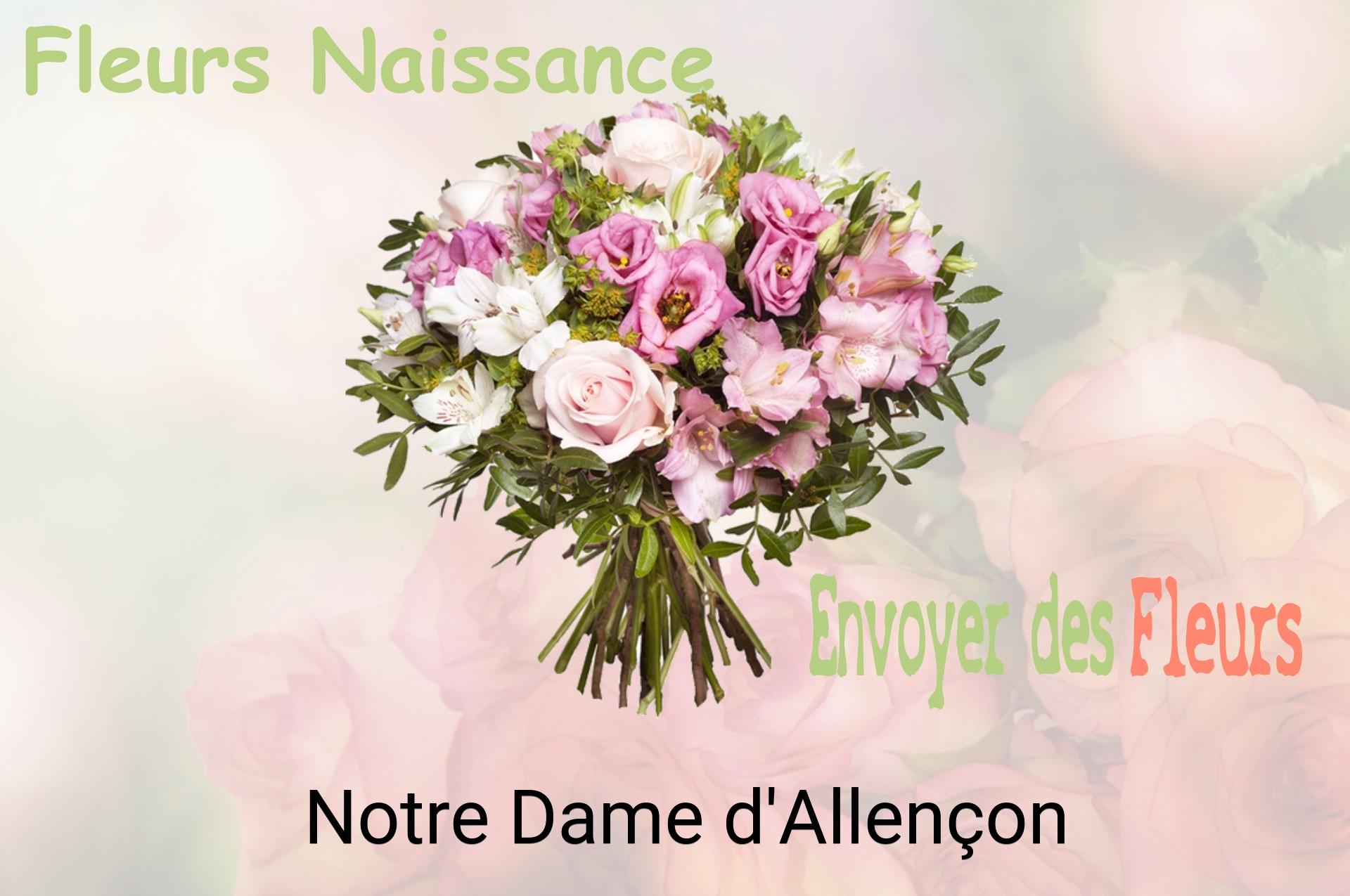 Bouquet de fleurs de naissance livré à Notre-Dame-d'Allençon
